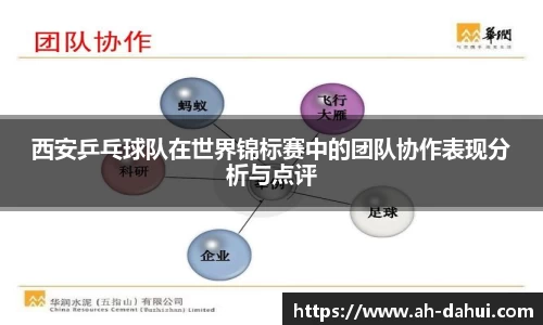 bsports必一体育
